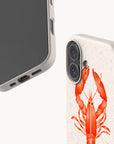 Two smartphones in light-colored Aragosta Eco-Friendly Biodegradable Phone Cases. One phone displays the screen, while the other showcases the back featuring a red lobster illustration. The background is plain white.